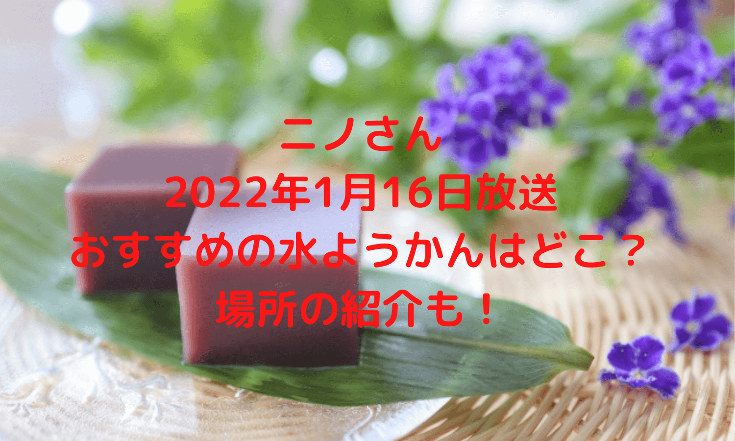 ニノさん1月16日放送 おすすめの水ようかんはどこ 場所の紹介も もーブログ
